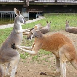 観光地・イベント情報＆お役立ち情報