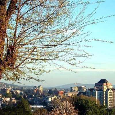 #Temuco y #Araucanía