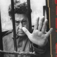 Tigre en el Segundo Piso