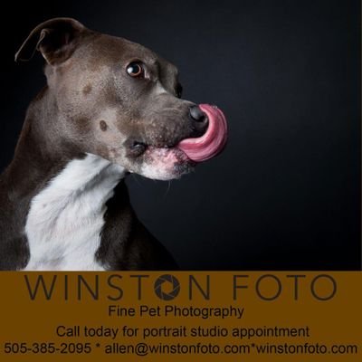 WinstonFoto