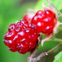 ナビコン-韓ドラここが知りたい