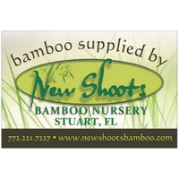 New Shoots Bamboo