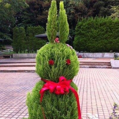 メロ💎💎💎FIRE生活6年目