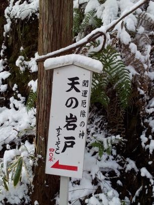 五条 光希 ゴジョウ コウキ