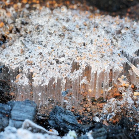 GeeWhizzOxley - NowOnBlueSkySocial