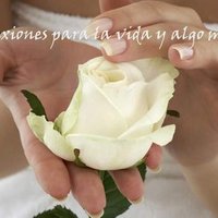 ReflexioneParaTuVida