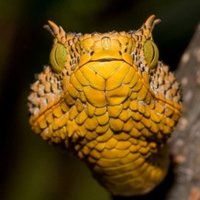 Beata Kotowska🇵🇱