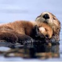 niemajakumamy🇵🇱