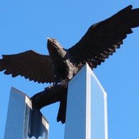 流山おおたかの森お散歩日記