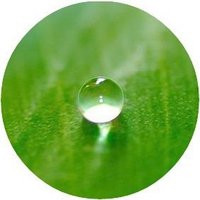 Corporate Governance