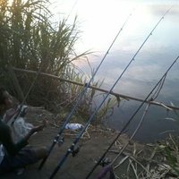 M. Irsyadul Ibad, Sy