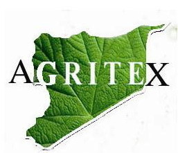 Agritex