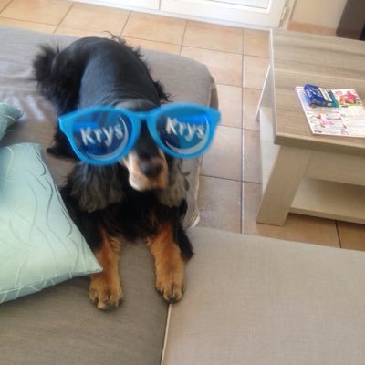 laffont ⭐️#TAEM.Macron.PFM🐟🇫🇷🇪🇺