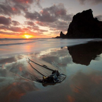 Intelligent Traveler