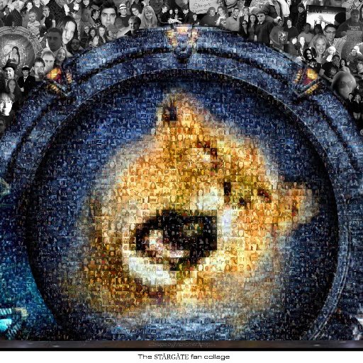 Stargate Fans United