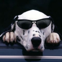 ゴク@極私的blog