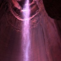 Make America DECENT Again ☮️