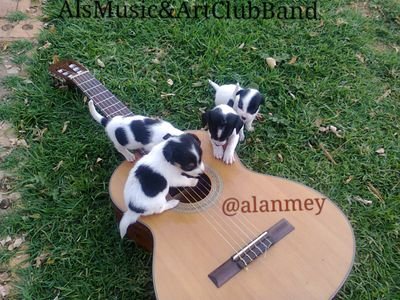 AlsMusic&ArtClubBand