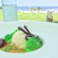 Mayumi Oda ʕ•ᴥ•ʔ