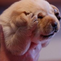 Me 😇ModerateMinx,railroad at your peril