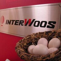 インターウォーズ株式会社【公式】