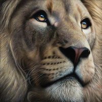 마스터 : 프로혹평러