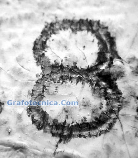 Raymond Orta Forensic Document Examiner USA