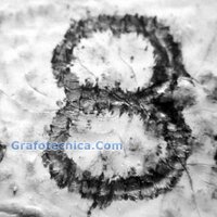 Raymond Orta Forensic Document Examiner USA