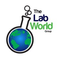 TheLabWorldGroup