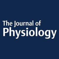 Journal of Physiology