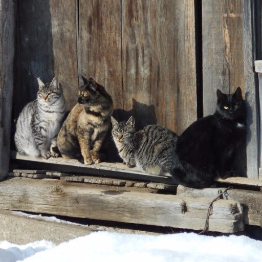 田舎暮しの唱悦