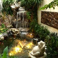 Tiểu cảnh sân vườn