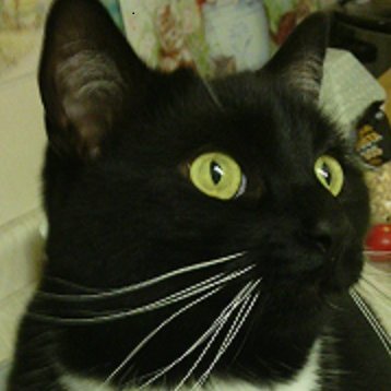 Diana 🇬🇧🇺🇦