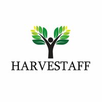 HarveStaff