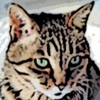 Moira「21世紀はグローバル市民の時代」