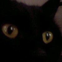 憲法改正猛烈反対ニャンター武将