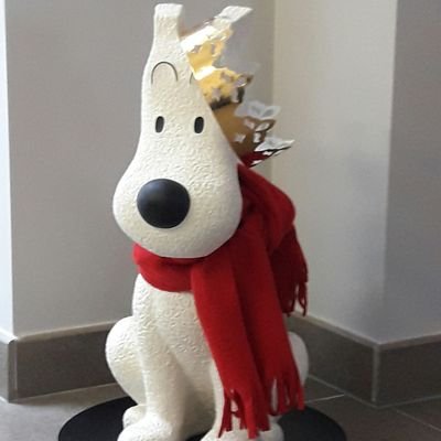 Dries Van Cauwelaert