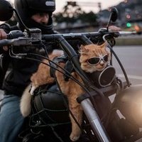 PaweL 🇵🇱🇩🇪