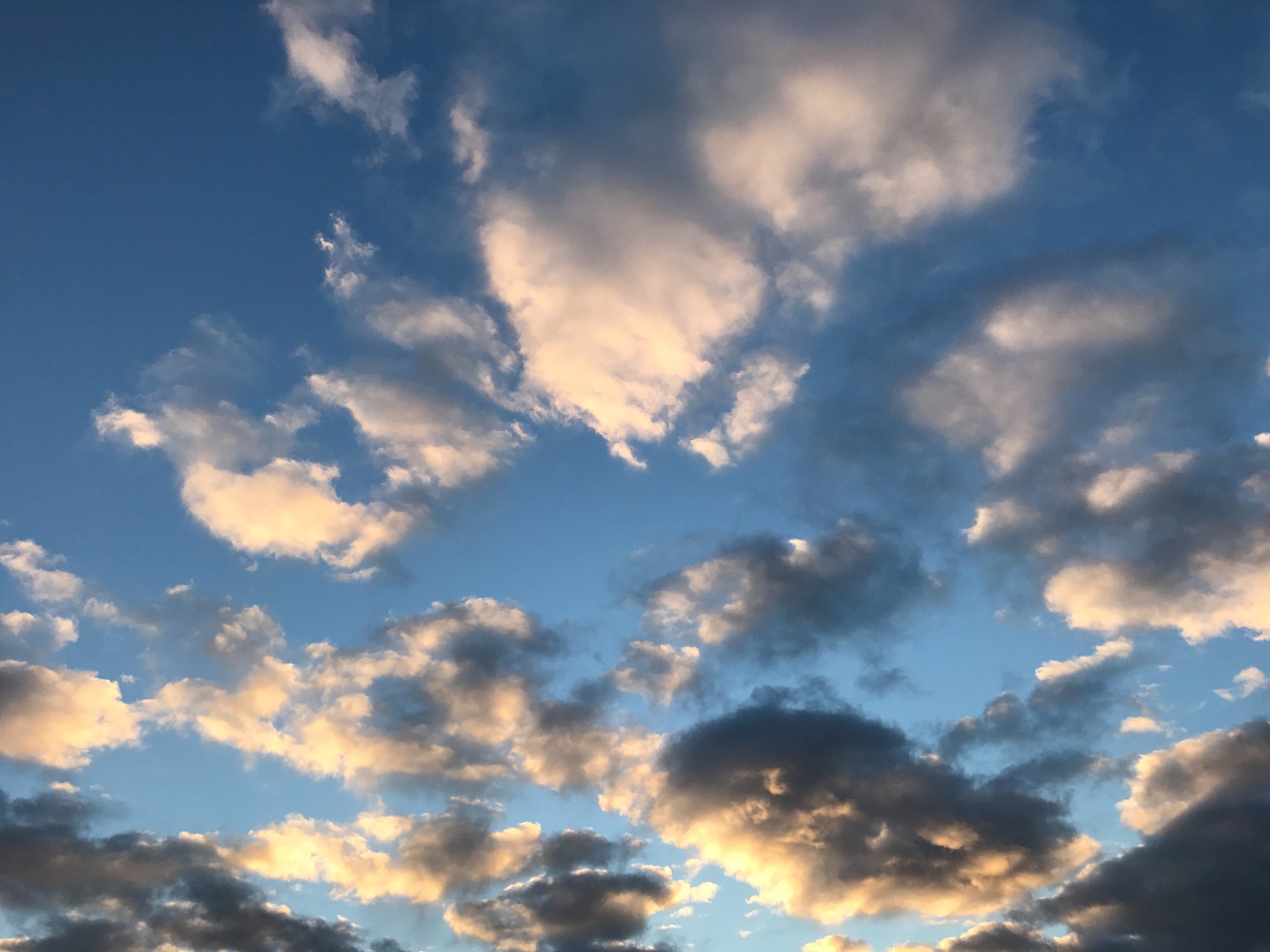 Intrepid Sponge 𐇐𐇑𐇒𐇓𐇔𐇕𐇖𐇗𐇘𐇙𐇚