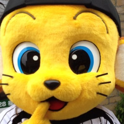 おーちゃん💫とらねこ🍫🌹