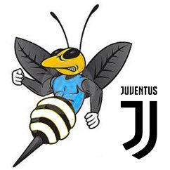 Juventus - Compagna di Viaggio