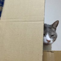 ゆりの/トレッキーになりかけています