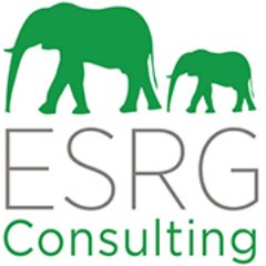 ESRG Consulting