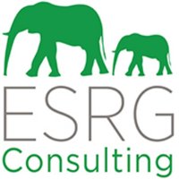 ESRG Consulting