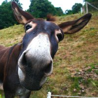 รคภtเคɠ๏