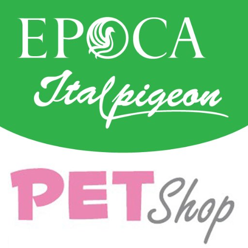 Epoca Italpigeon