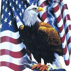 🍊Orwell Was Right🍊