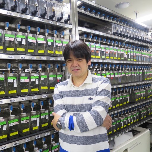 Koichi Kawakami, 川上浩一