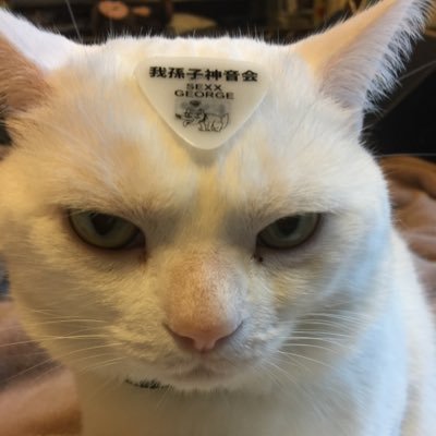 SEXX GEORGE