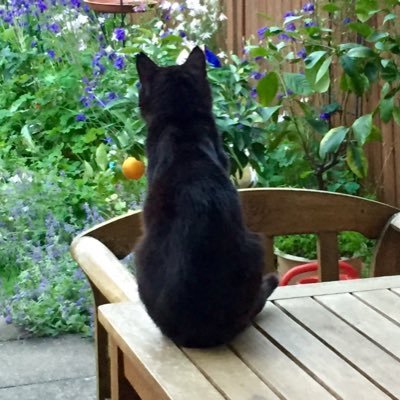 Angelika Musser 💚